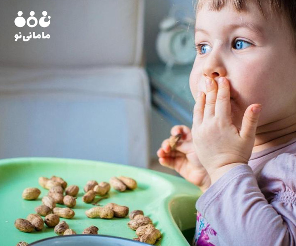 2. آجیل و خشکبار در کنار دانه ها از سالم ترین تنقلات کودکان