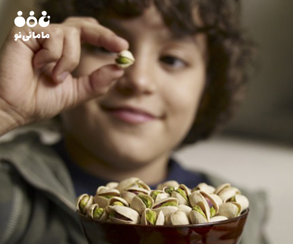 2. آجیل و خشکبار در کنار دانه ها از سالم ترین تنقلات کودکان