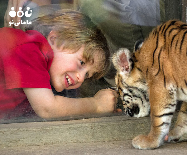 4. پرورش همدلی و حس شفقت از فواید تربیتی باغ وحش برای کودک