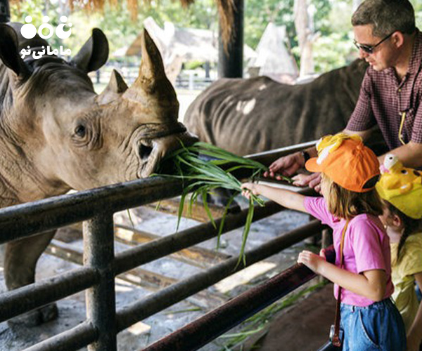 همیت بازدید از باغ وحش برای کودکان در تقویت پیوند خانوادگی