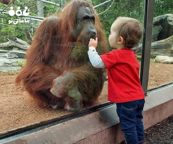 6. ایجاد کنجکاوی و عشق به یادگیری از فواید تربیتی باغ وحش برای کودک