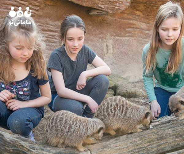 ایجاد مهارت‌های اجتماعی و ارتباطی