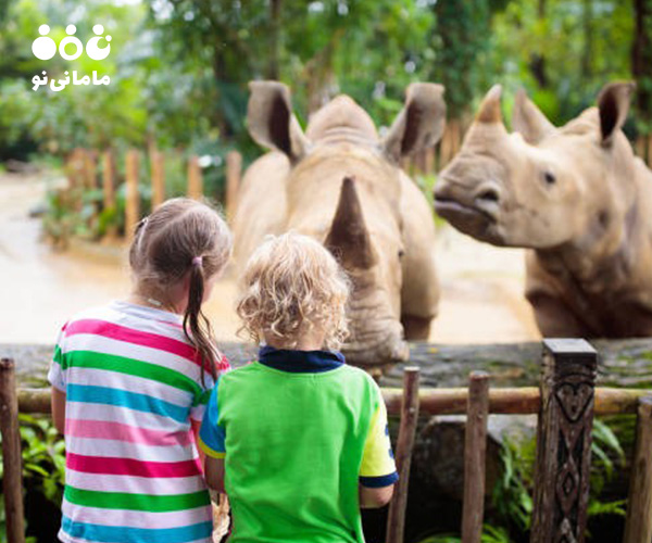 9. فعالیت بدنی از فواید باغ وحش برای کودکان