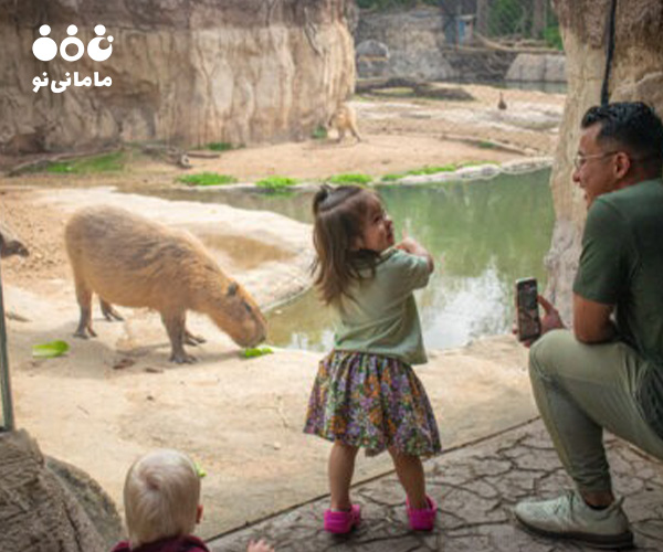 2. ارتقای شناخت محیط‌زیست و اهمیت حفظ آن