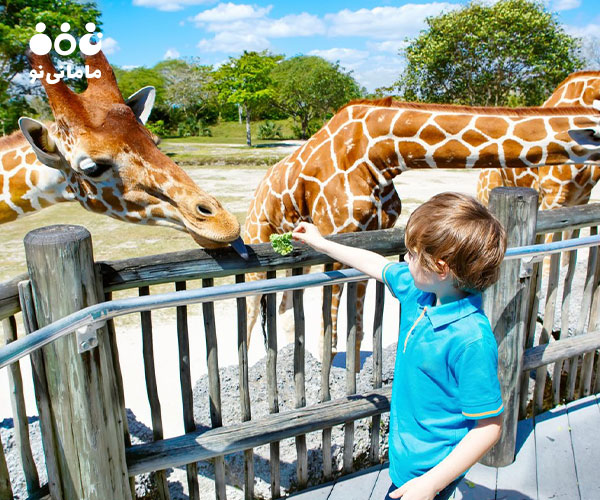 7. اهمیت بازدید از باغ وحش برای کودکان در تشویق به کنجکاوی