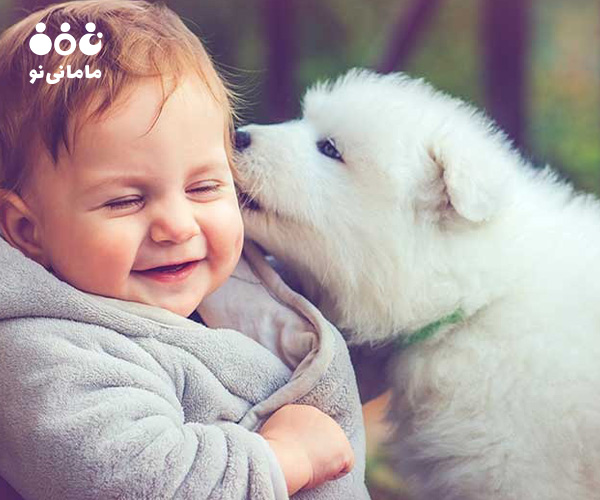 7. کاهش اضطراب و گوشه‌گیری کودکان از تاثیر نگهداری حیوان خانگی بر کودکان