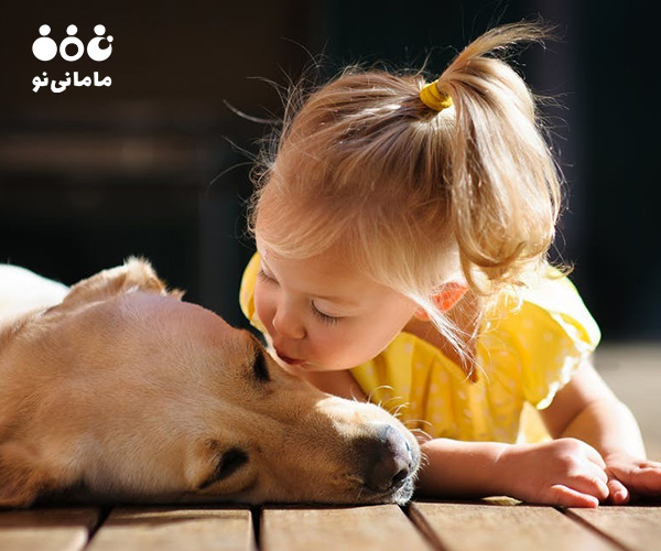 4. نیاز به مراقبت و نظافت دائمی