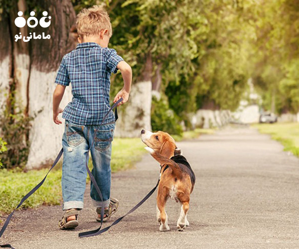 چه نوع حیوان خانگی برای خانواده شما مناسب است؟