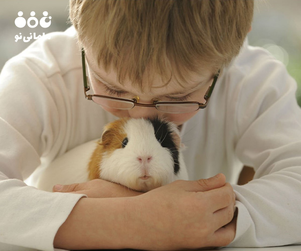 17. تاثیر نگهداری حیوان خانگی بر کودکان و عملکرد اجرایی آنها