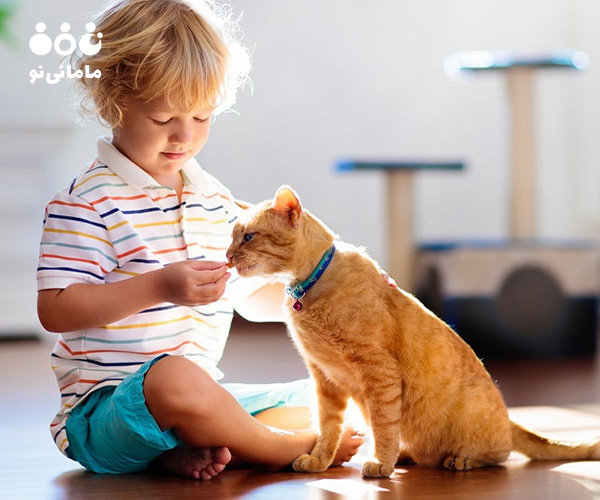 نکات ایمنی در نگهداری حیوان خانگی