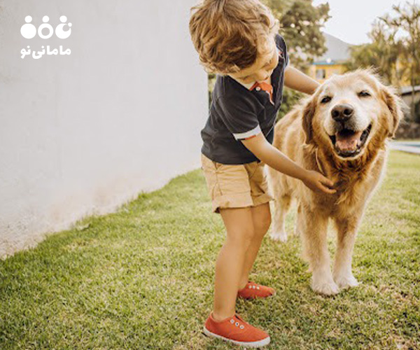 14. شادی و آرامش تاثیر نگهداری حیوان خانگی بر کودکان